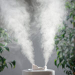 Luftfeuchtigkeit bei trockener Luft erhöhen - Tipps